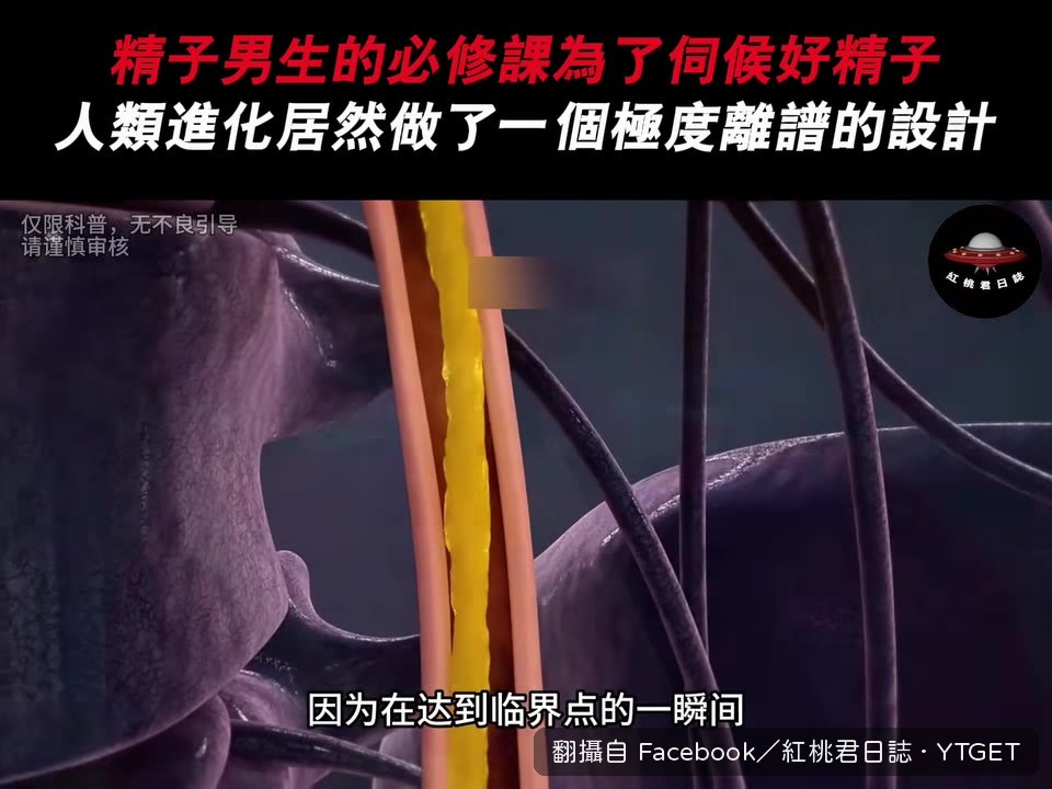 尿道括約肌像防盜門一樣鎖死