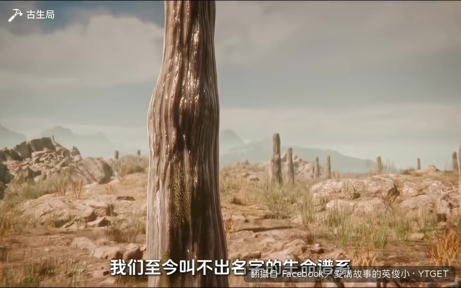 瓦利薩樹拔地而起