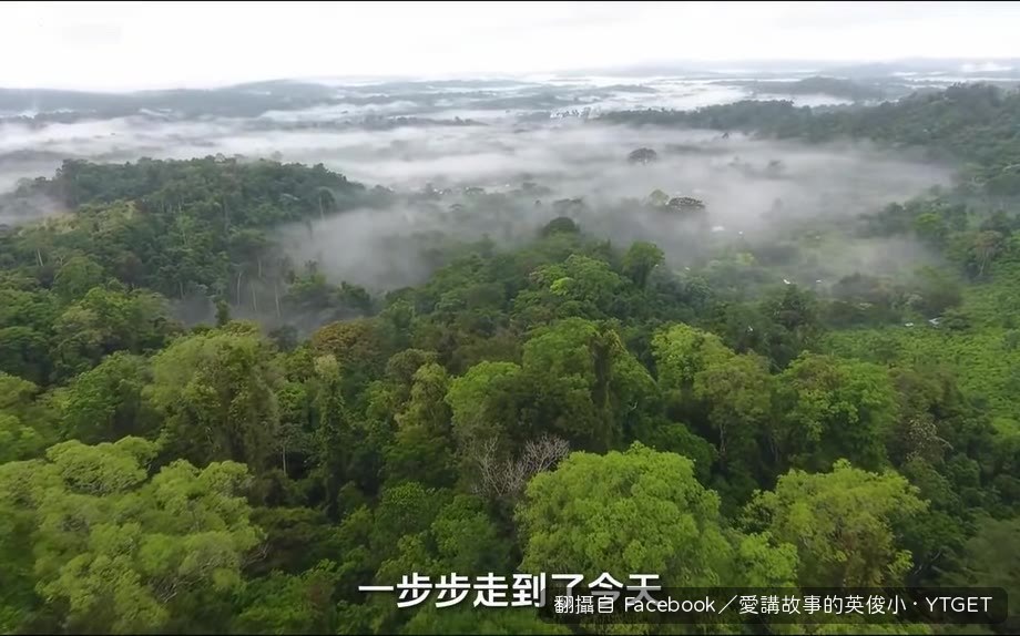 真菌和綠藻聯手破解岩石
