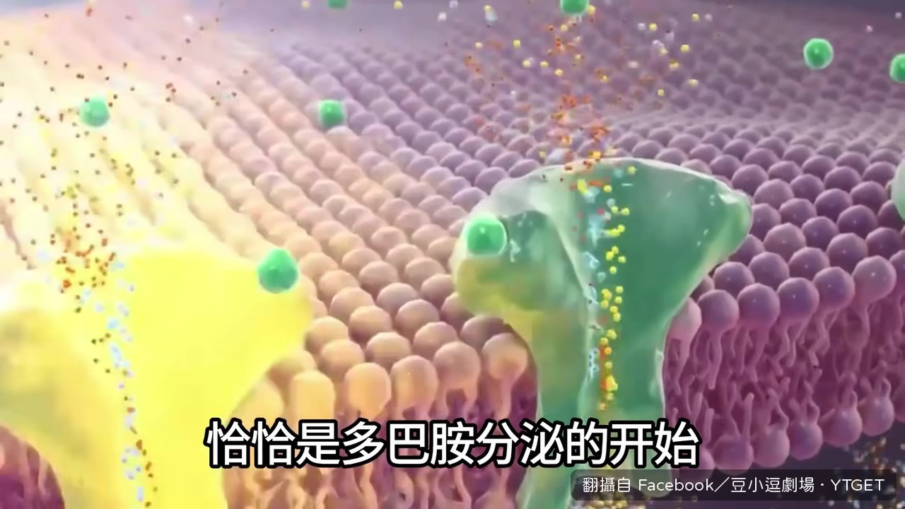 一上來就全盤脫出反而關閉獎賞迴路