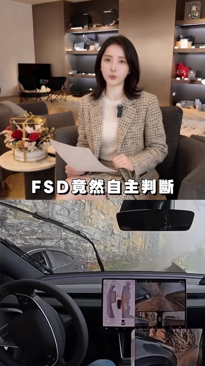 FSD 貼著懸崖邊緣,完美找到破口