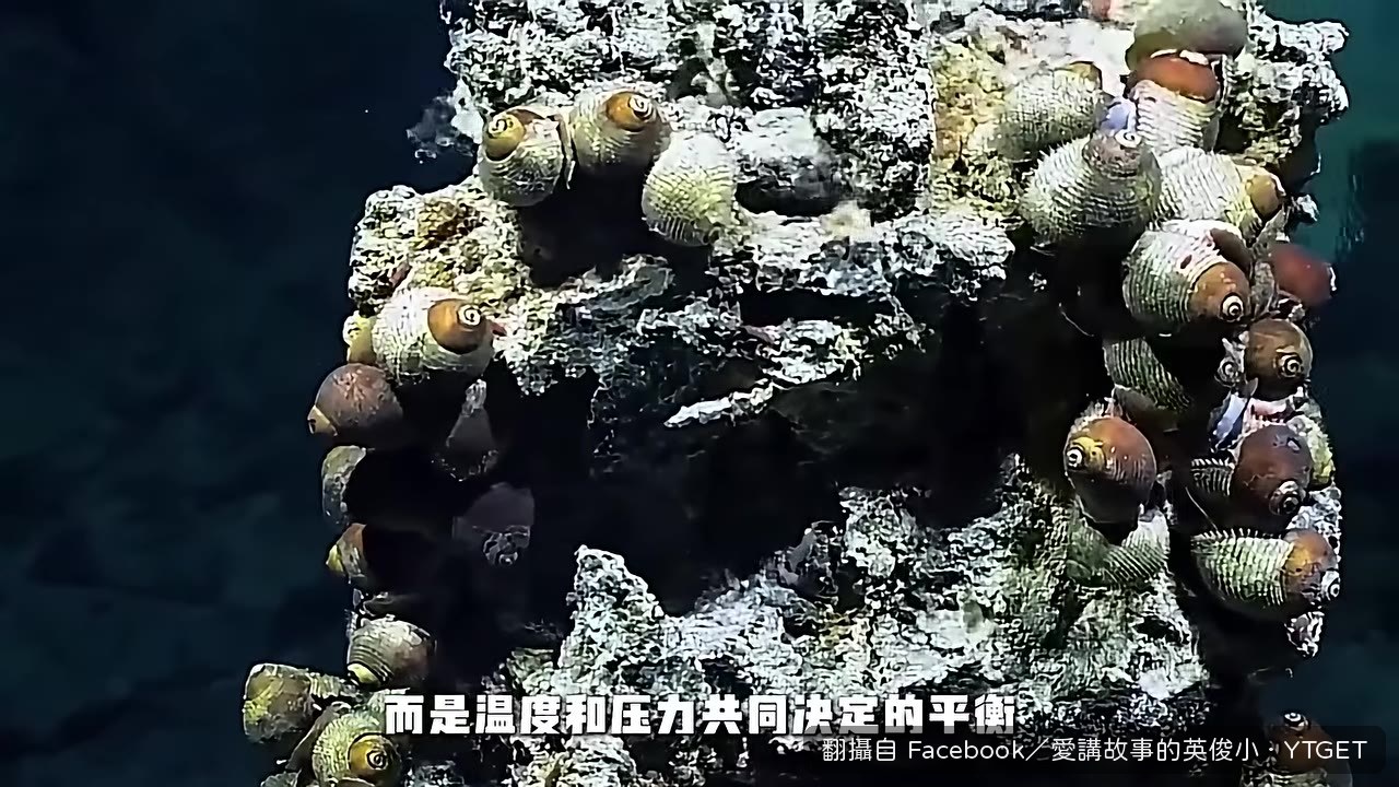 醫院用121度蒸氣滅菌
