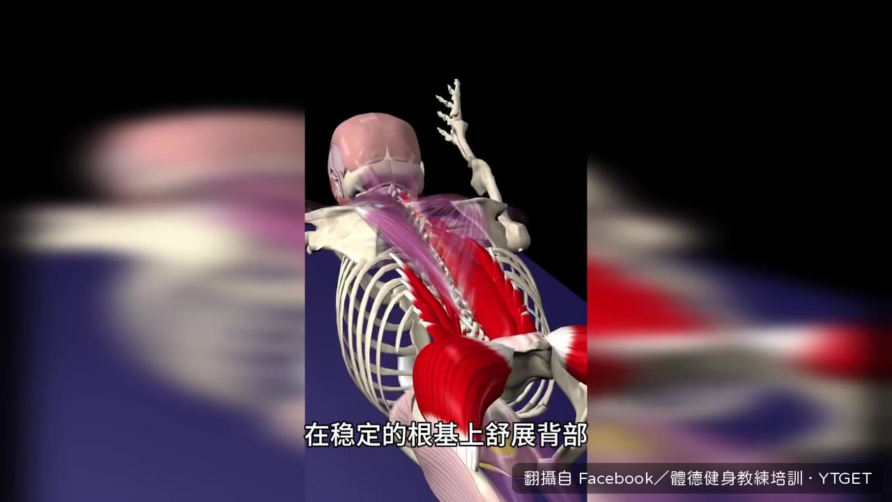 俯臥後展，後鏈同時發力