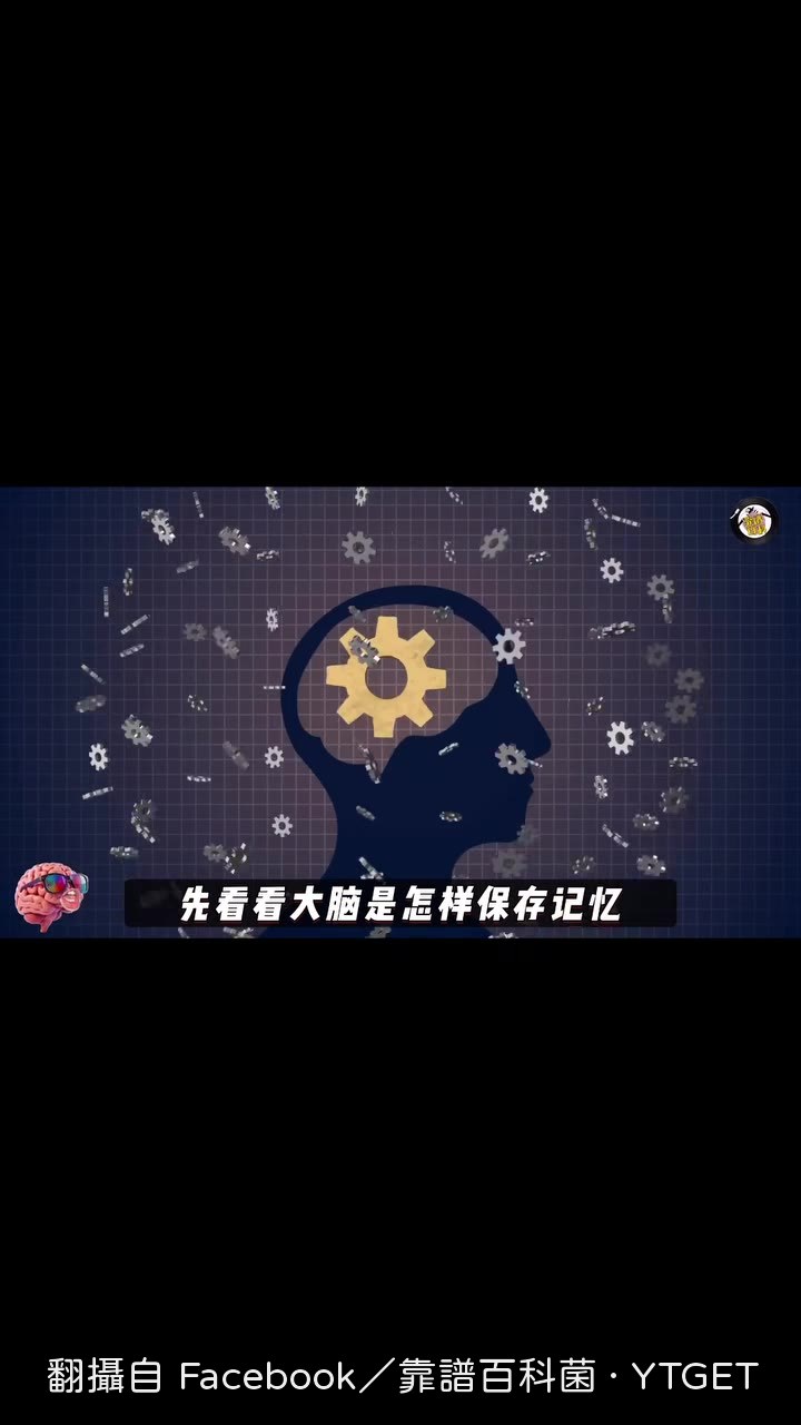 大腦像電腦記憶體在運作