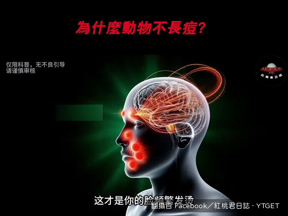 久坐重口熬夜讓壓力全往臉上衝