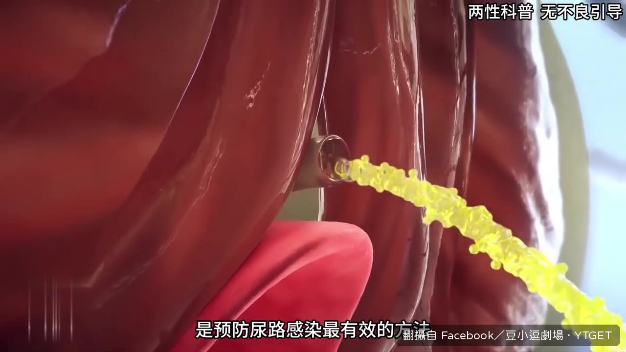 用流動清水洗外陰,別沖陰道內部
