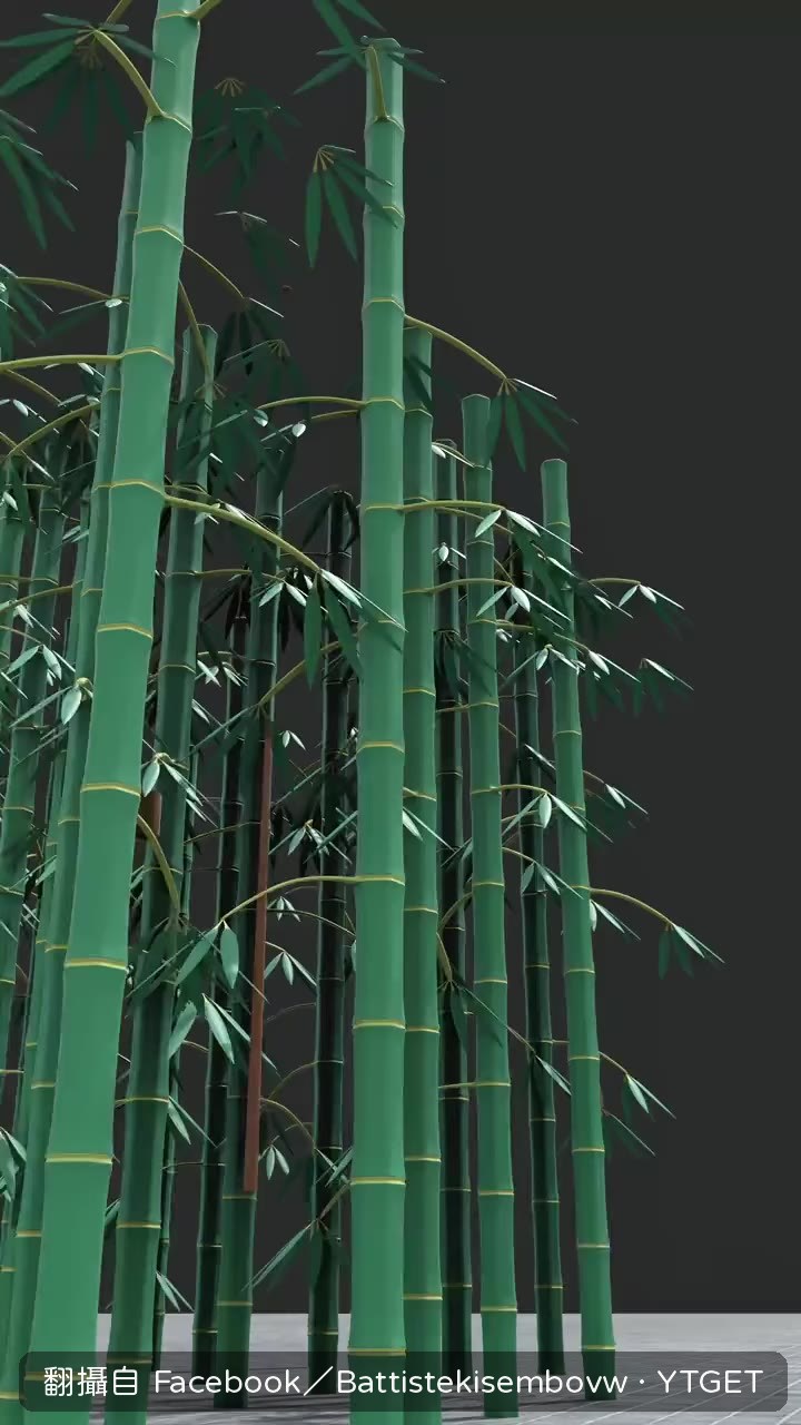 取下一截竹節準備製作