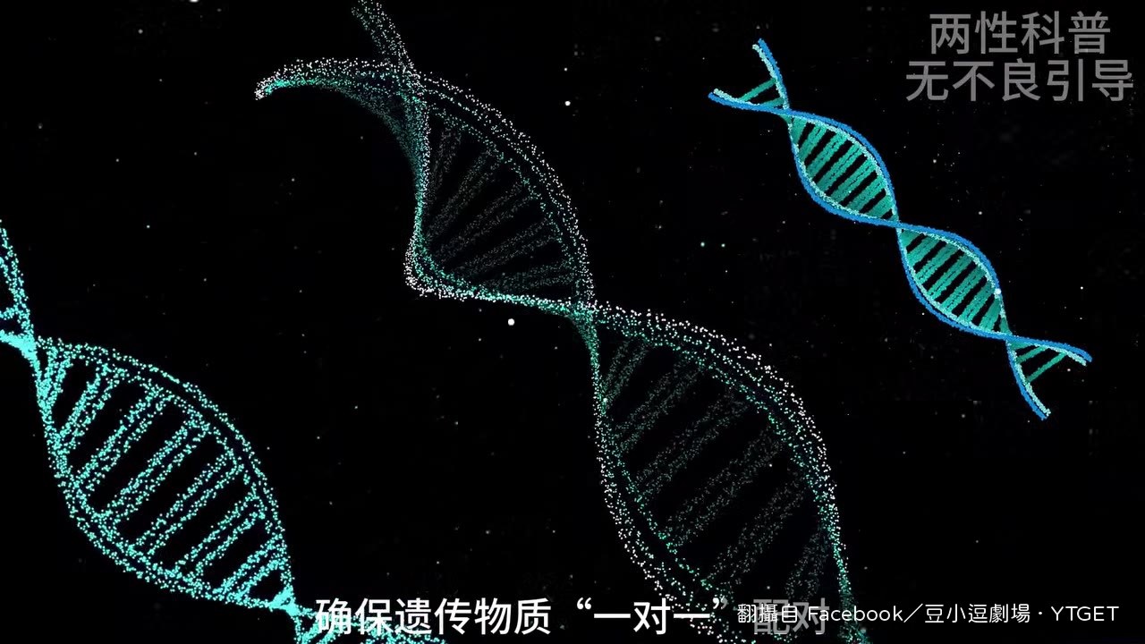 受精在微米級別無聲發生