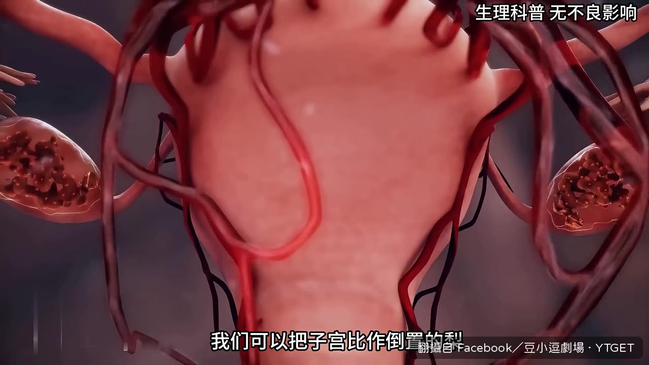 把子宮比作倒置的梨