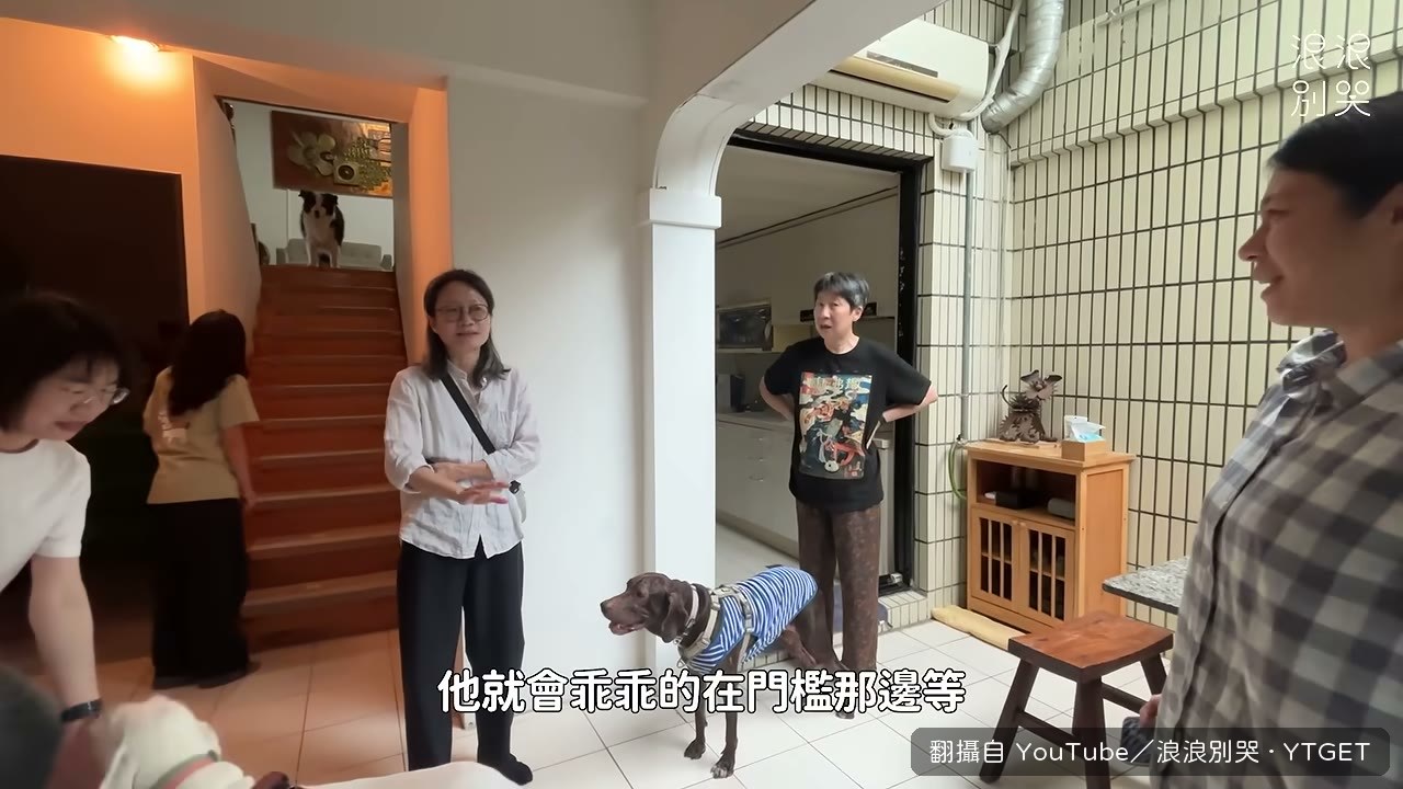 達達端盤子事件後學會慢慢走