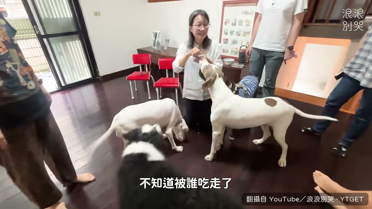 兒子送的拼圖上有家裡每隻狗