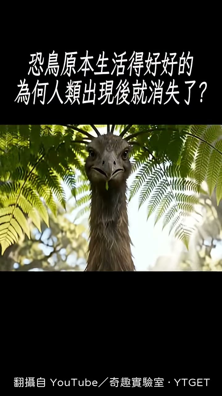 開場先問：什麼動物是被安全害死的