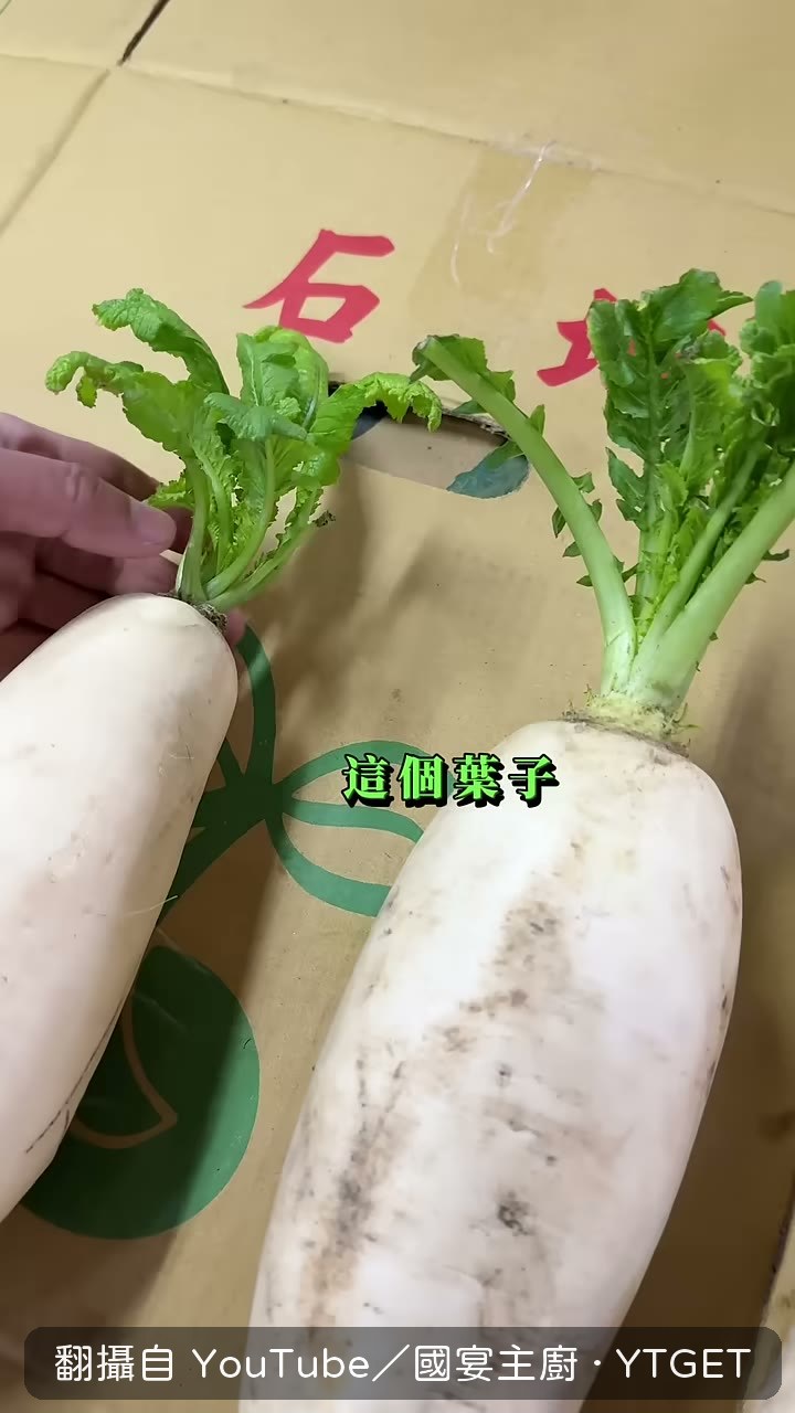葉子長出來代表養分被吸走