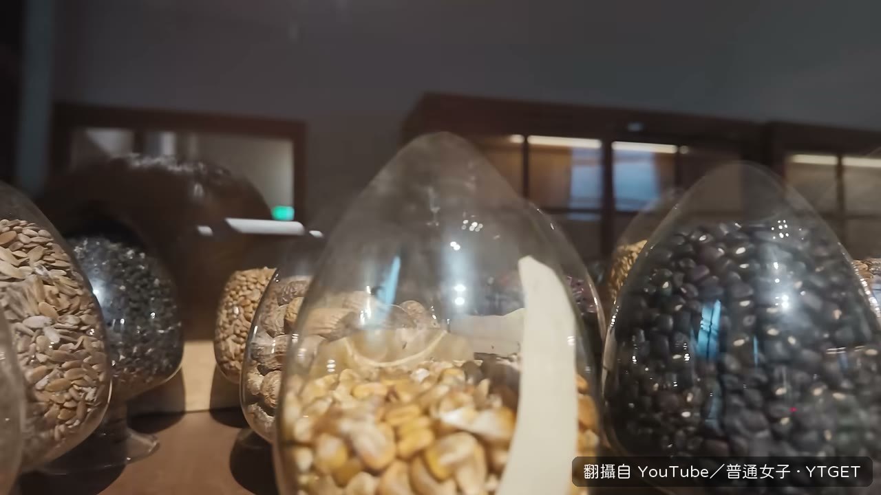 植物標本館館長親自導覽