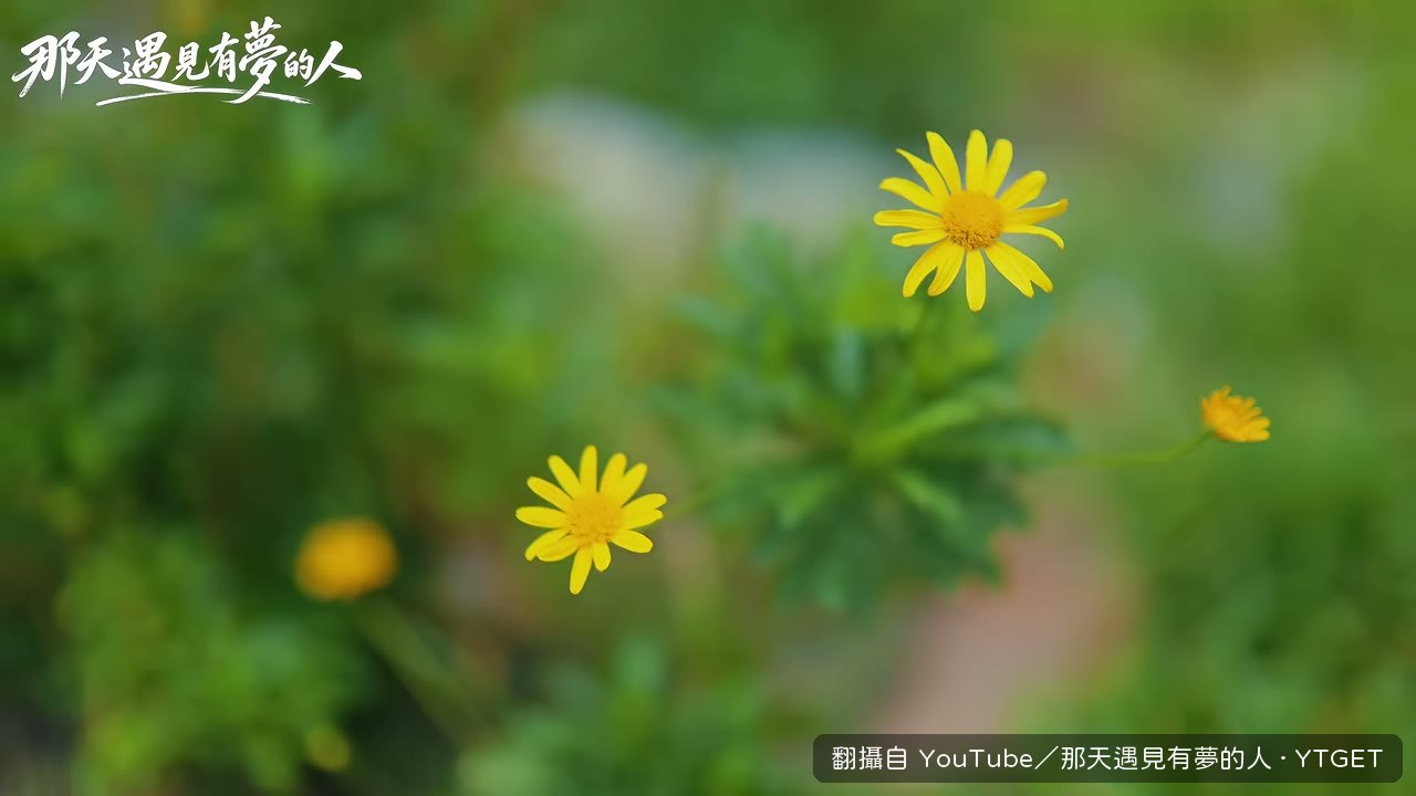 孫猴子在園區裡開場