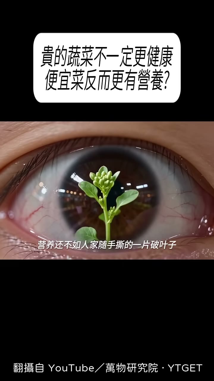 美國CDC把四十七種蔬菜按營養密度打分