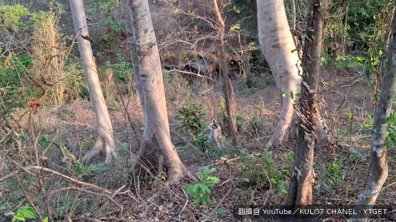 路徑突然中斷，他愣在原地