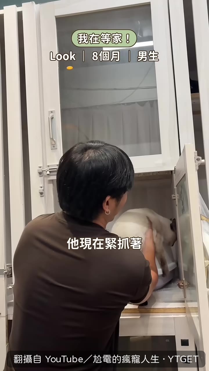 盧剋死抓貓砂盆不放