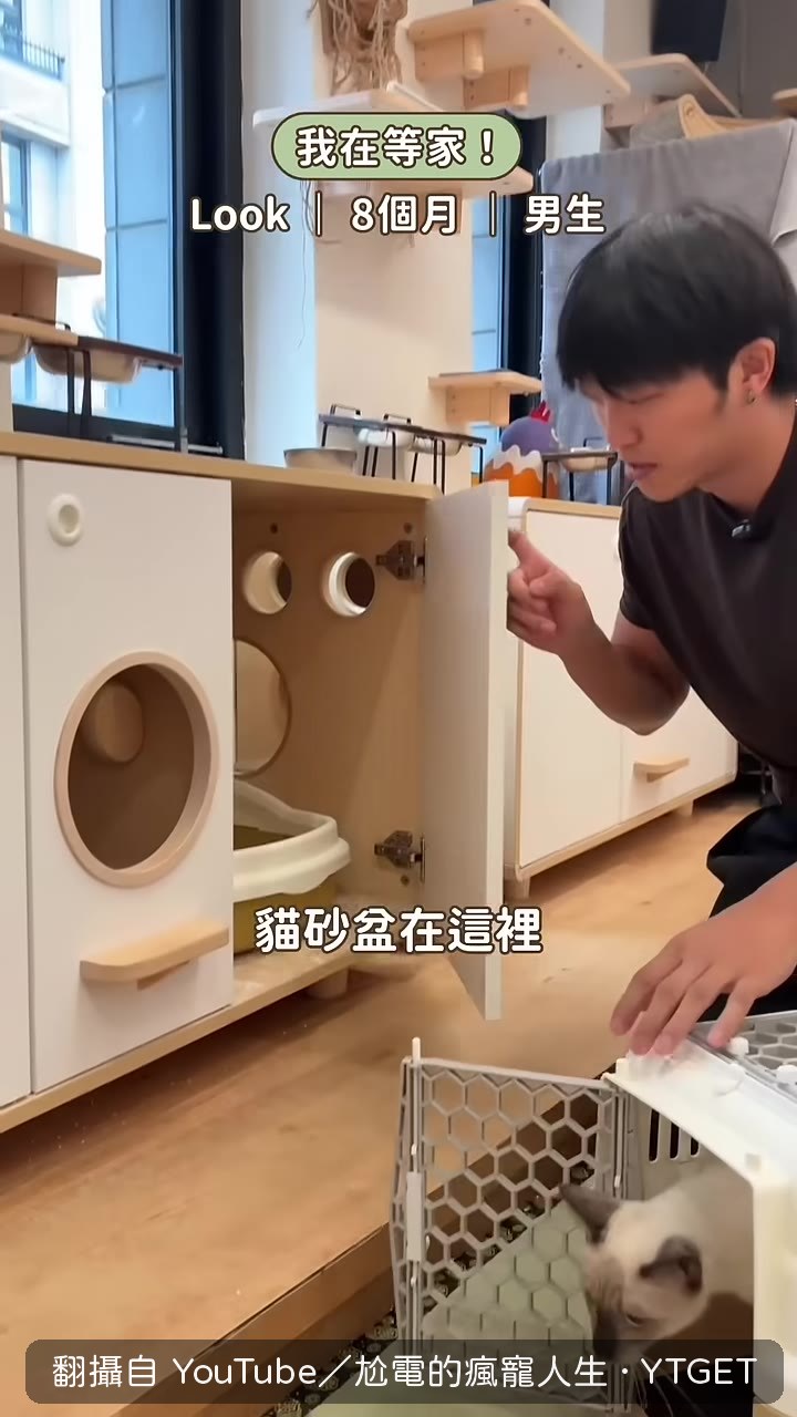 盧克進房間開始裝可愛