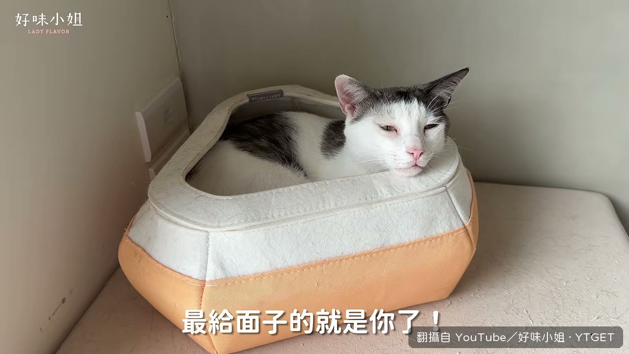 結果公佈，軟水石拿下第一
