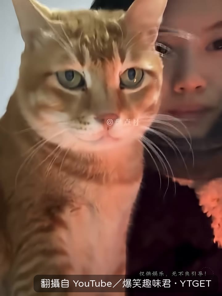叫狗親一個，牠真的湊上去親