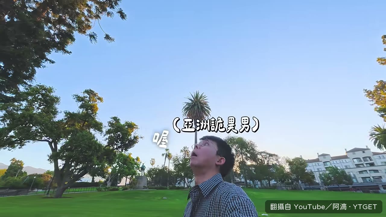 清晨的紀念公園,鳥叫聲像人