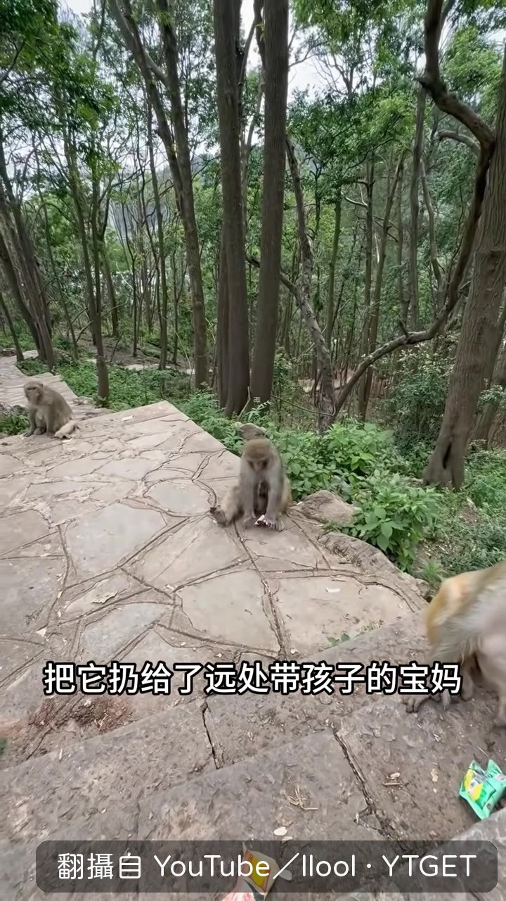 寶媽接過榴槤麵包,聞了一下立刻丟掉