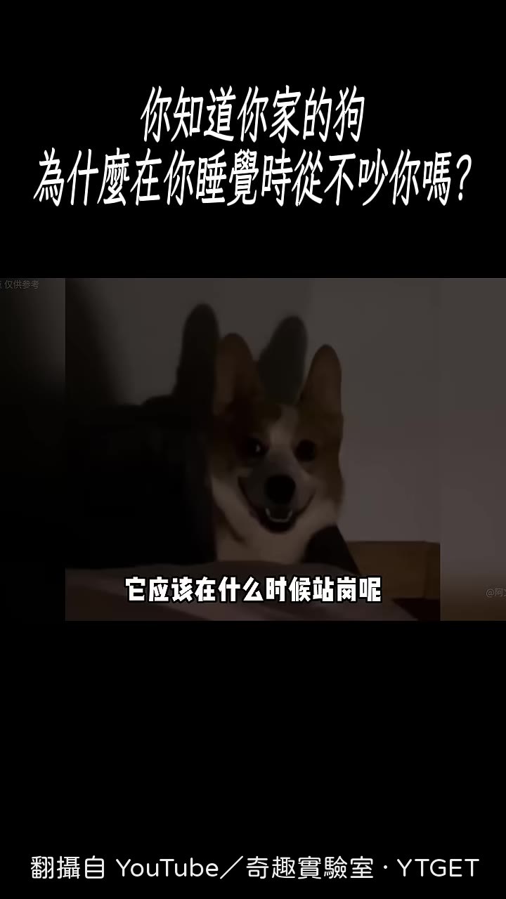 狗靠嗅覺判斷你睡著了