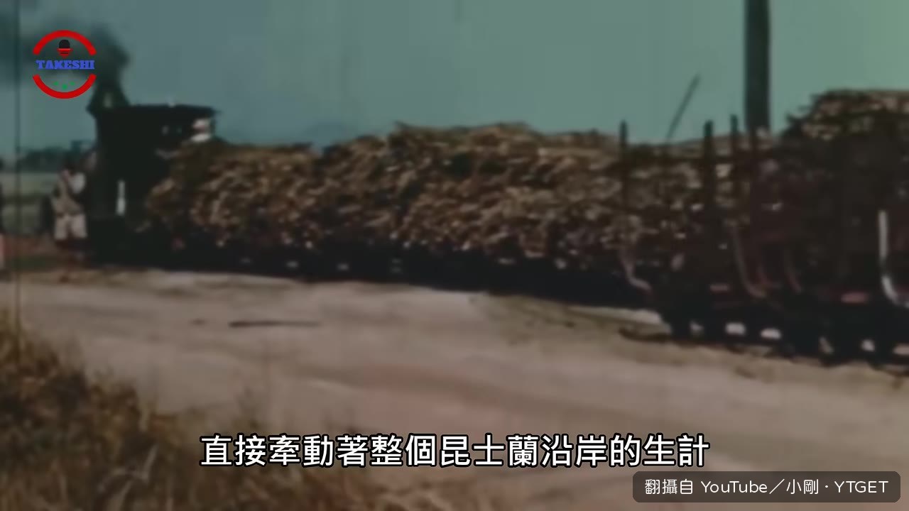 甘蔗田出現兩大害蟲