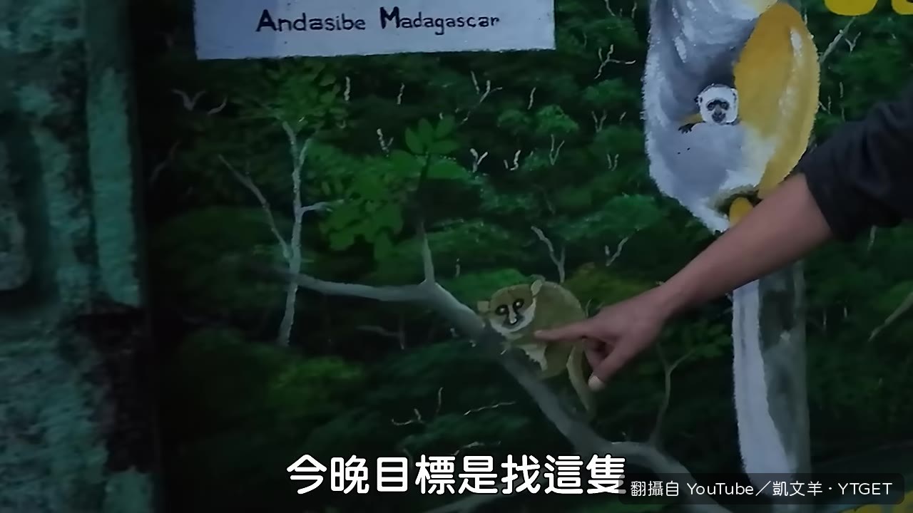 夜間探險發現小蠶