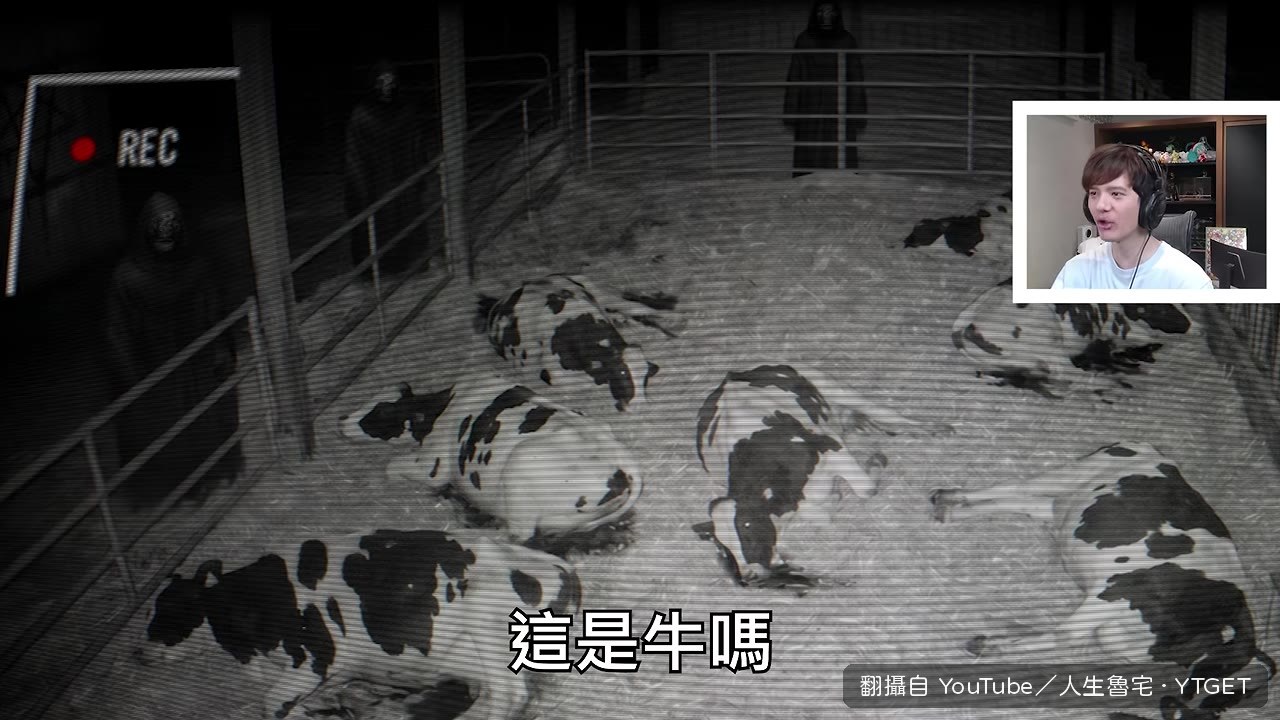 牛站起來叫媽媽