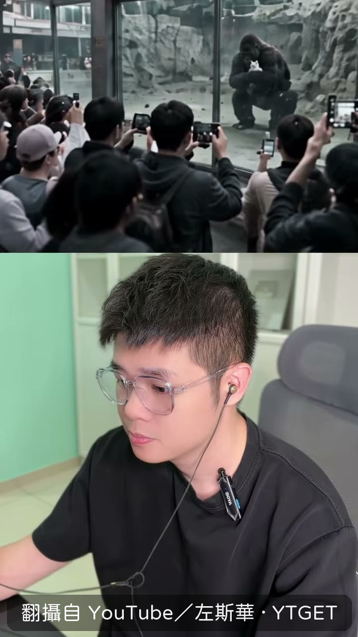 圍觀的人喊著要把貓帶走
