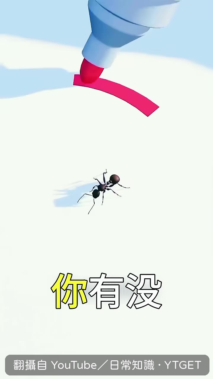 用筆畫線困住螞蟻的實驗