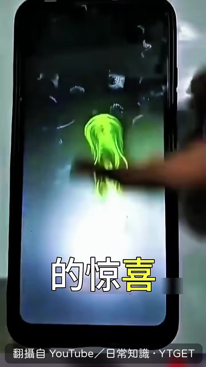 螞蟻靠費洛蒙氣味認路