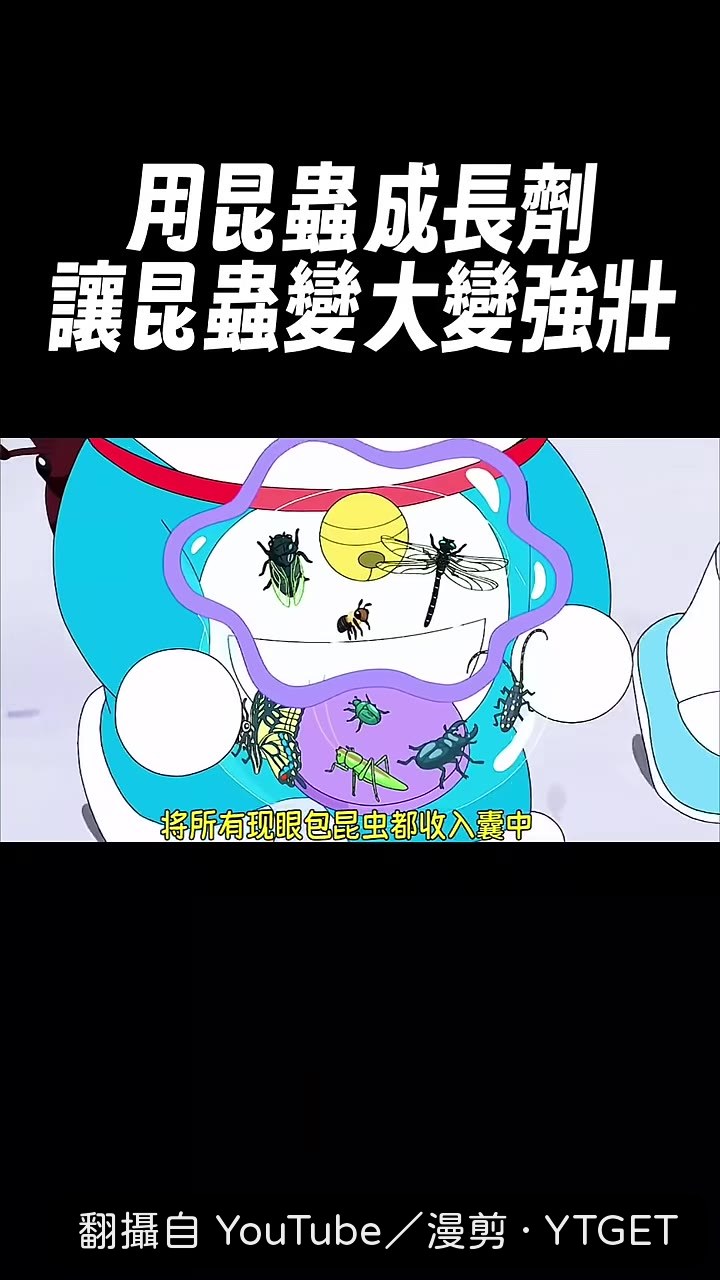 比人還高的螳螂登場