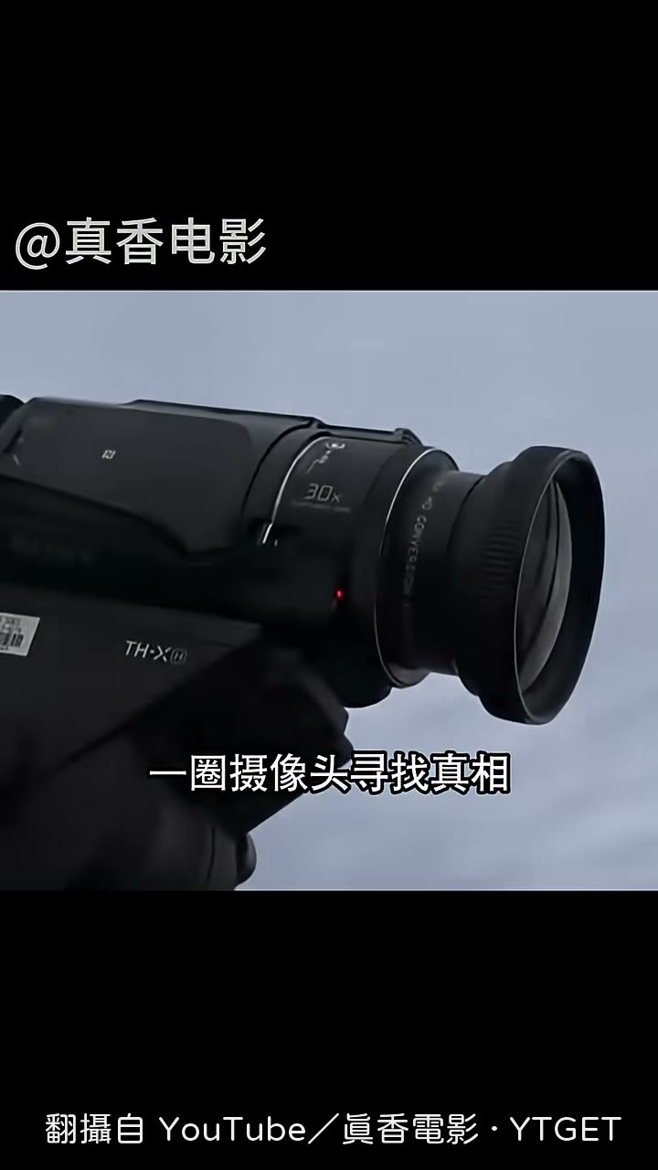 監視器拍下深夜的狗窩