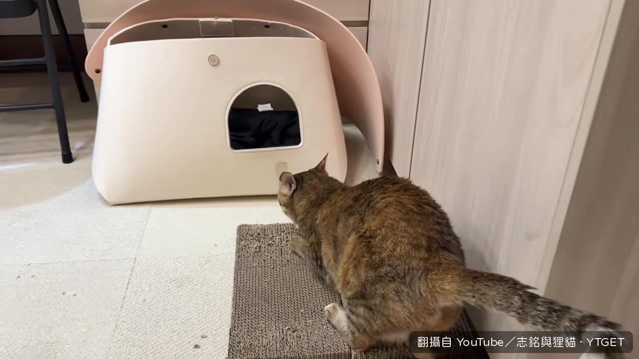 阿瑪對三角的態度