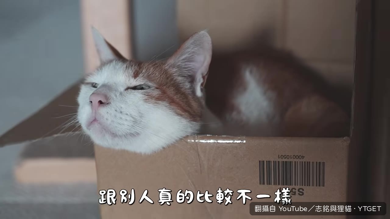 晚長跳胸口撒嬌