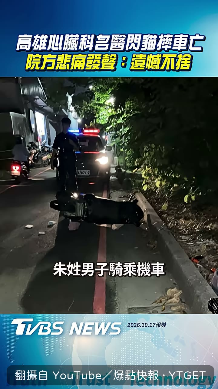 一隻貓從路旁竄出，機車閃避不及