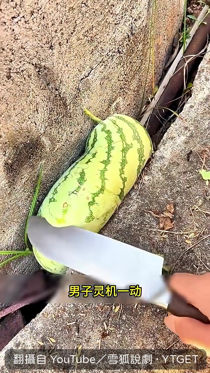 男子拿出小刀削掉卡住的瓜皮