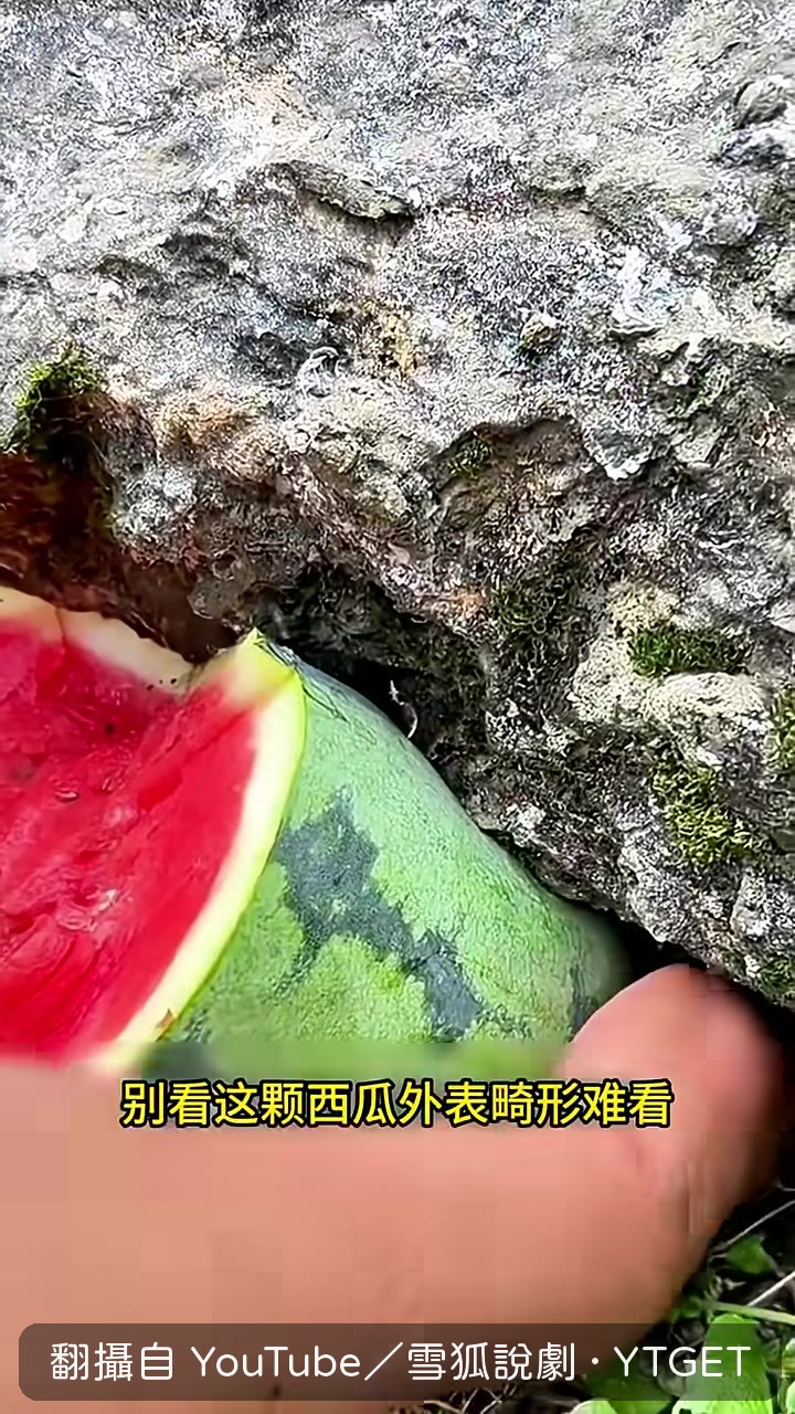 剖開外皮露出鮮紅果肉