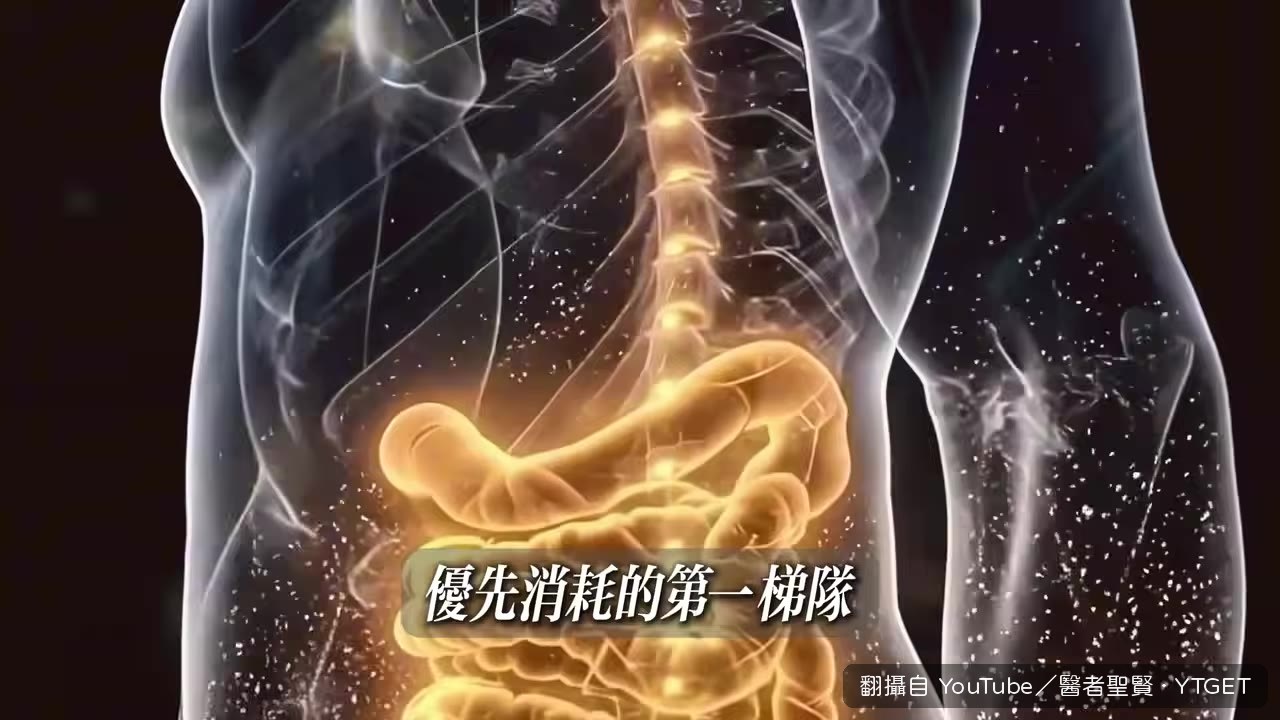 築波大學實驗：內臟脂肪減少幅度是皮下2.3倍