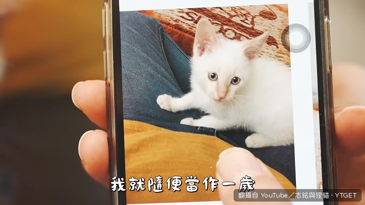 小八小時候跟Snoopy玩偶比大小