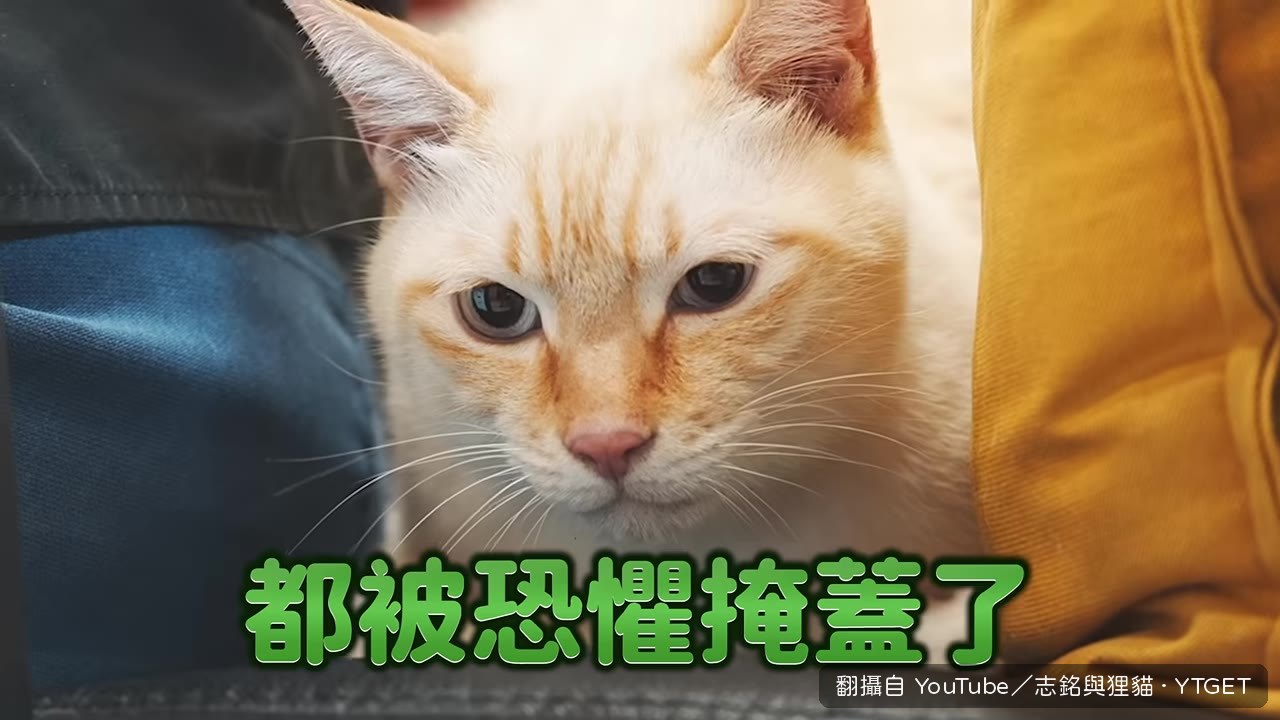 志銘解釋小八名字由來