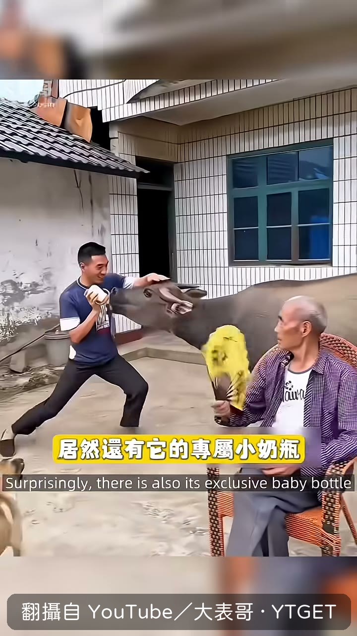 奶糖用專屬小奶瓶喝奶