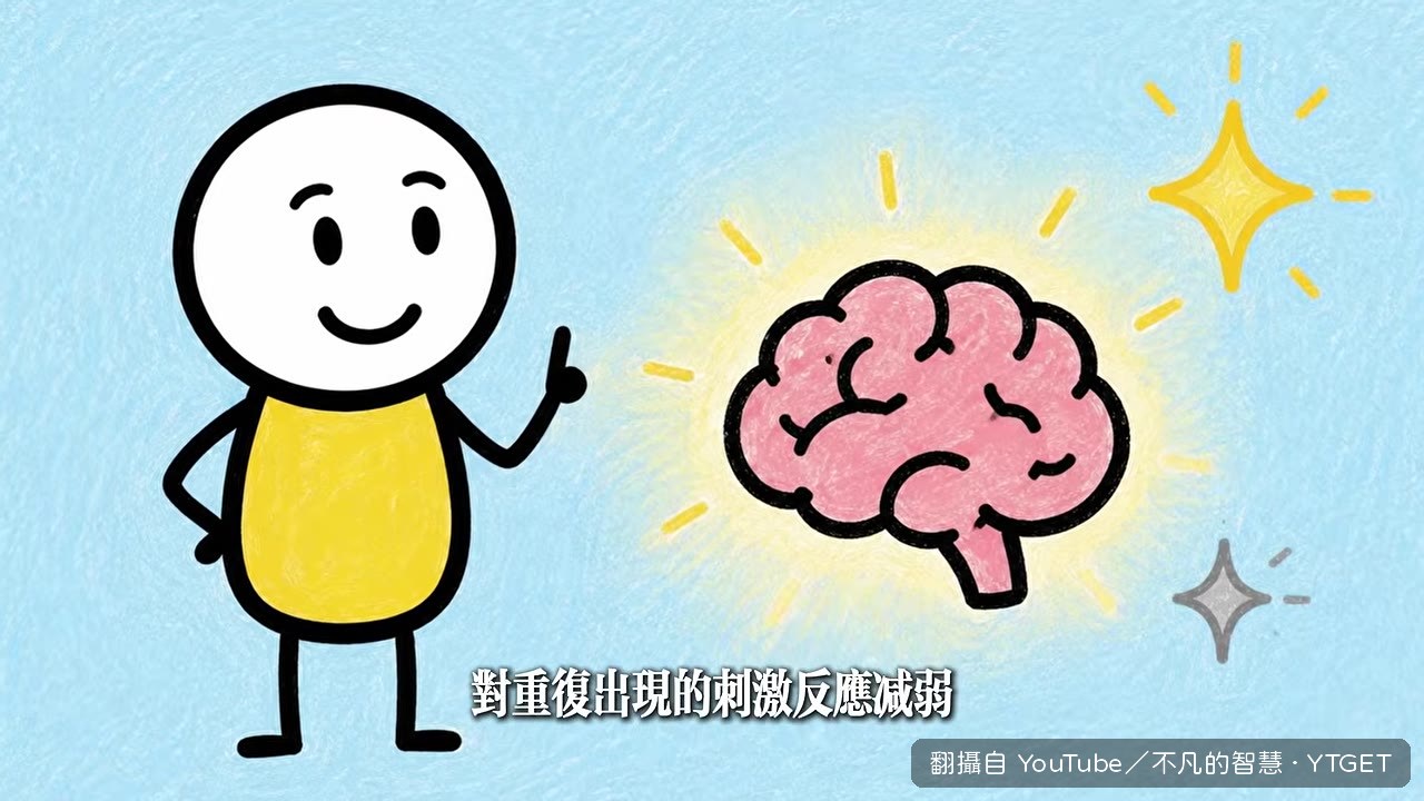 新奇效應：大腦對重複刺激反應減弱