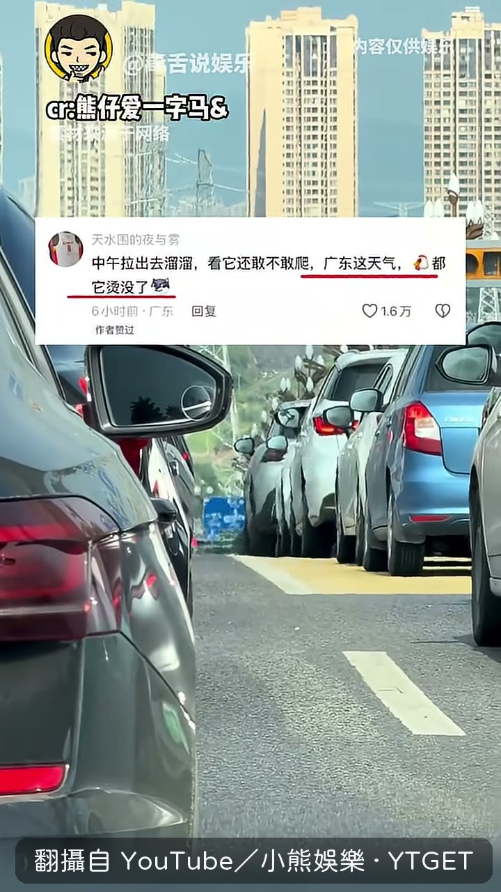 中午曬太陽就瞬間跑起來