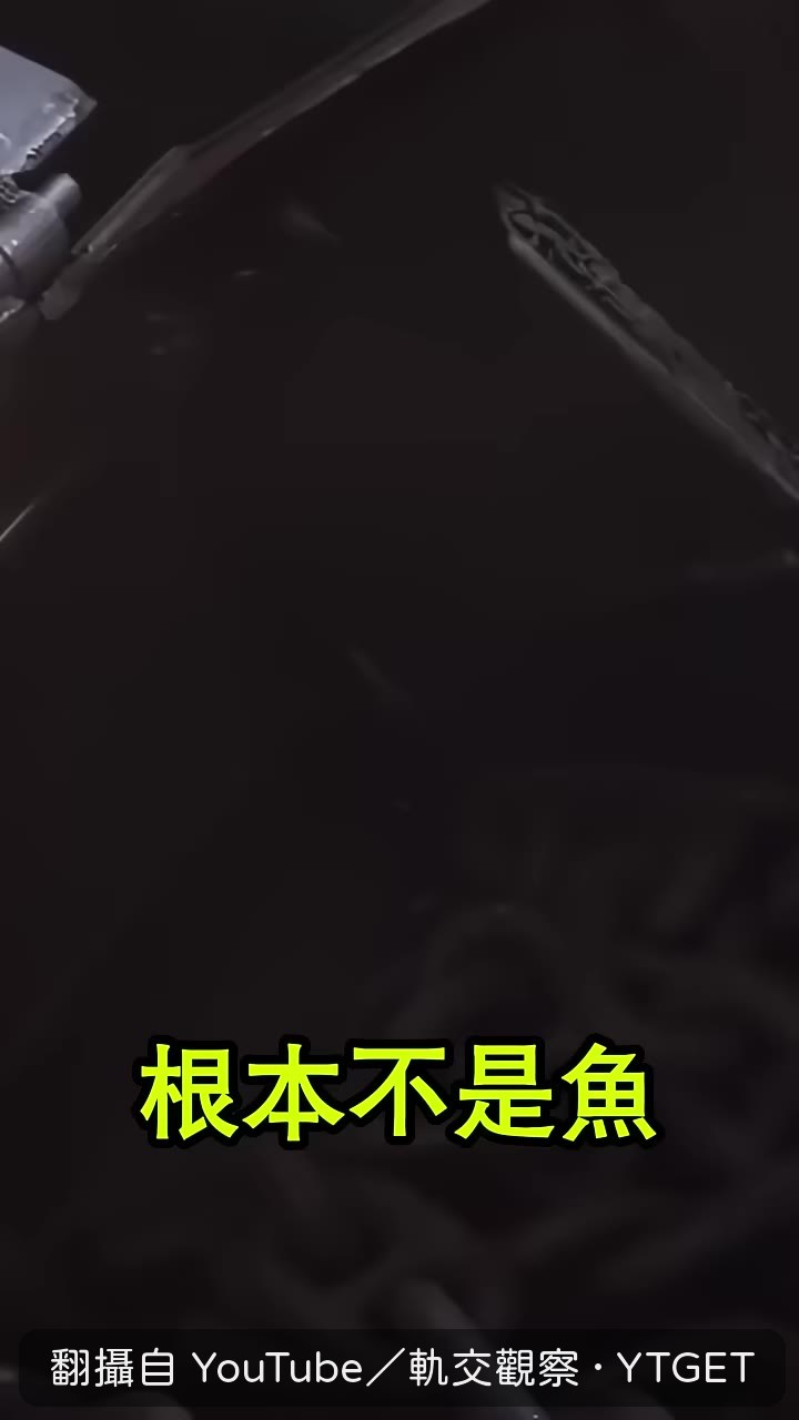 撈起長滿藤壺的黑色鐵箱
