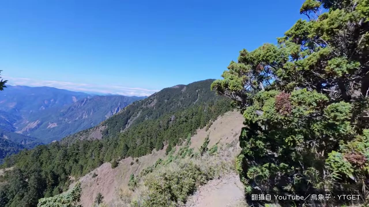 西峰三角點旁的雲海