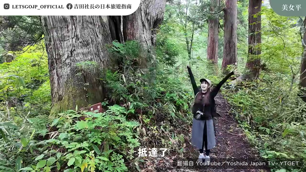 不老樹前比身高